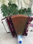 Vendo concertina em muito bom estado HONER CLUB 3B