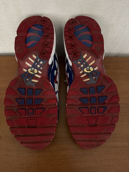 Чоловічі кросівки Nike TN Air Max Plus, Найк ТН