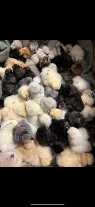 Dostepne 30  Jajka lęgowe silki usa piękne puchate kury silka