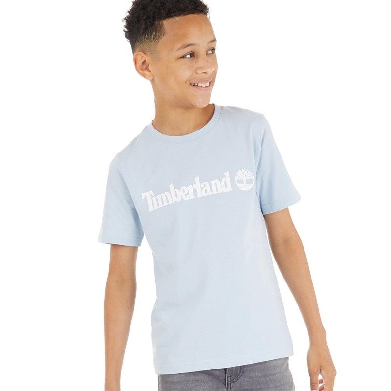 Timberland Chłopięce T-shirty Błękitny