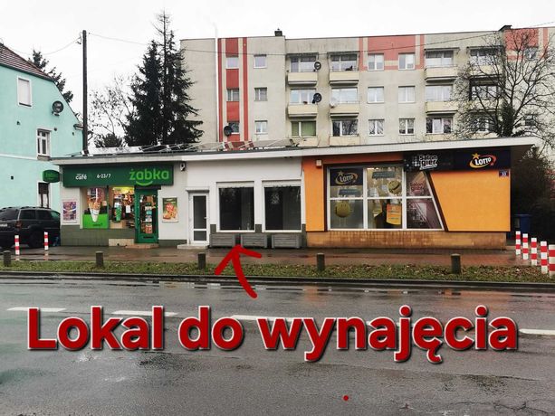 Lokal do wynajęcia