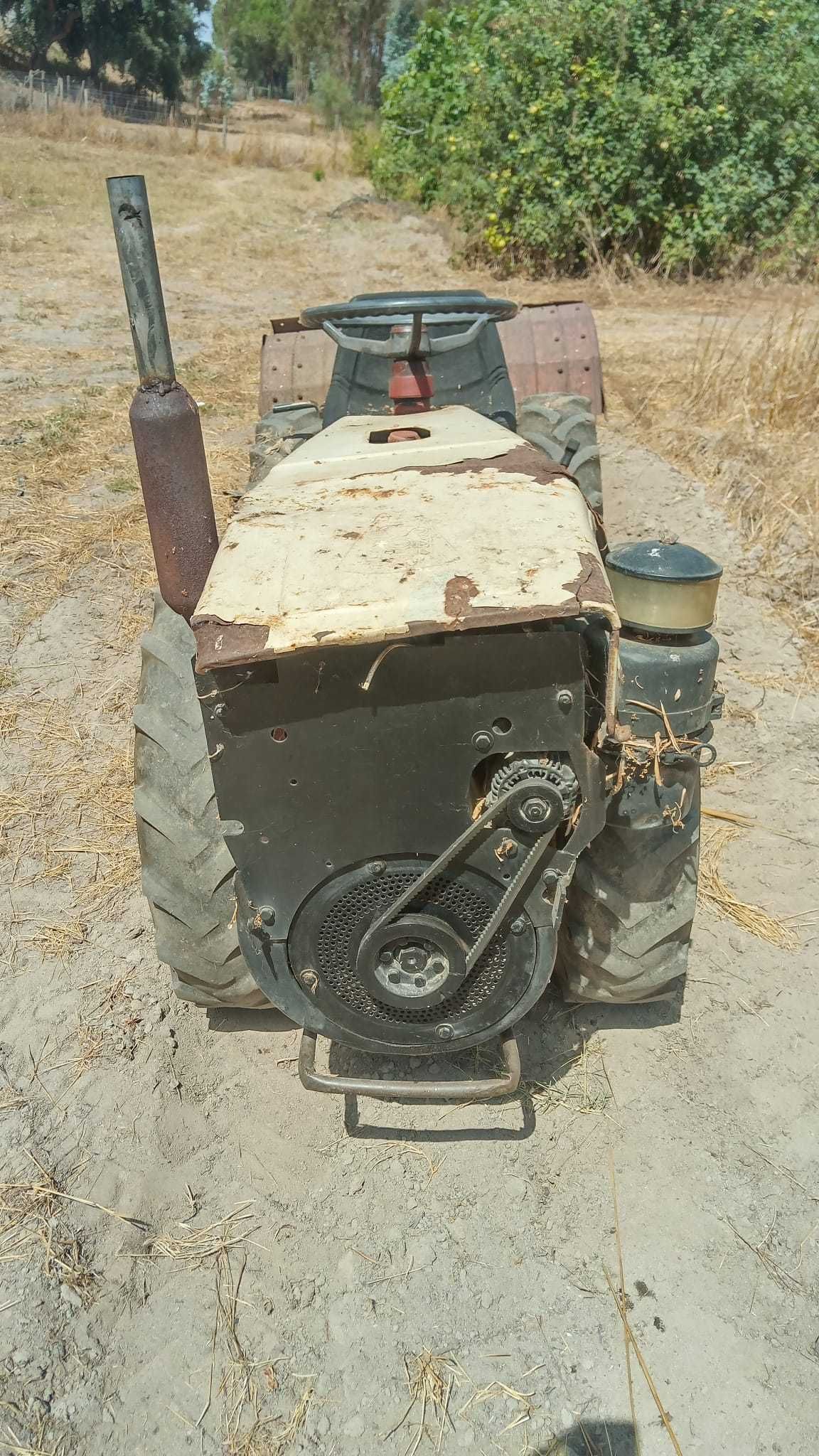 Trator articulado tração ás 4 pasqual 21Cv