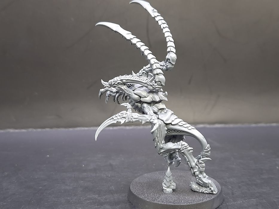 Warhammer 40000 Tyranids Tyranid Von Ryan's Leapers C