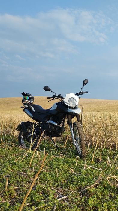 Shineray xy200gy-6c