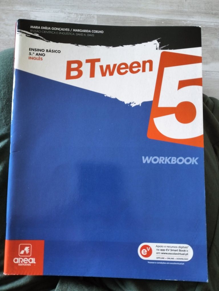 Livro de fichas de inglês 5ano