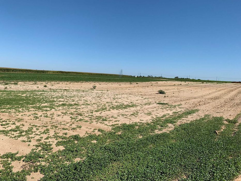 Terreno com possibilidade de construção de moradia