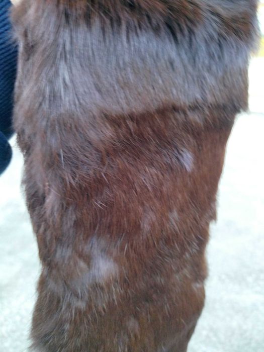 Estola pêlo de Vison impecável