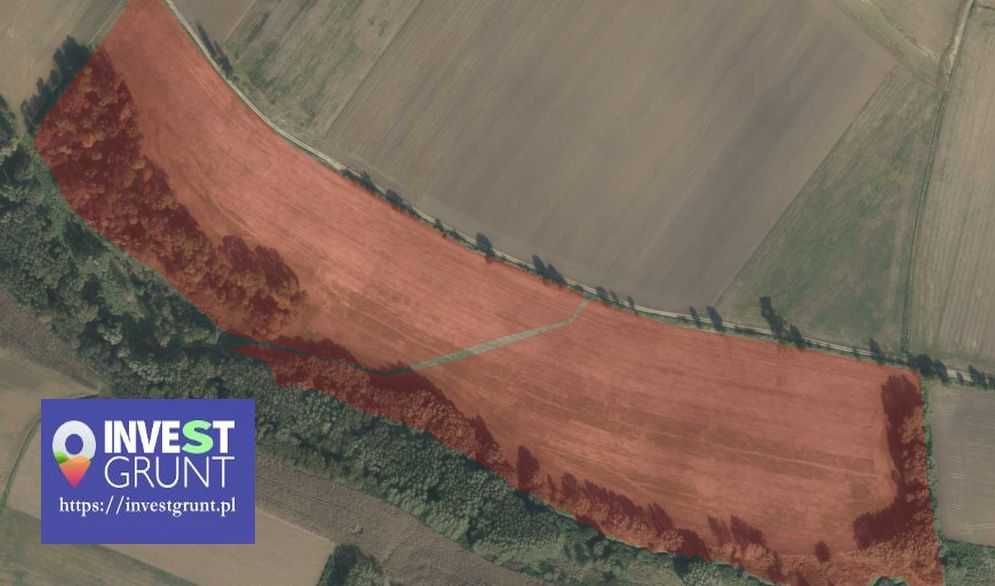 [58,92 ha] grunty rolne przetarg na dzierżawę