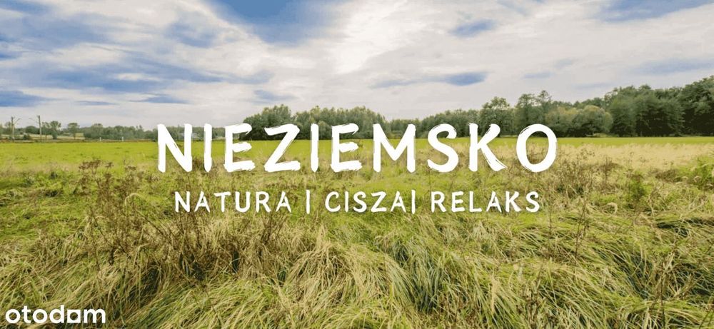 *** Nieziemskie Miejsce ***