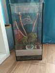 Sprzedam terrarium