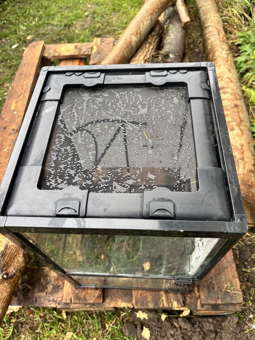 Terarium dla gada