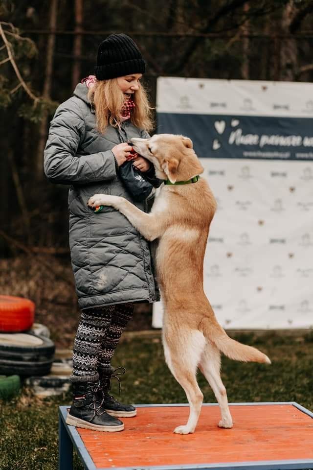 Wrócił z adopcji.. czy znajdzie dom na zawsze?