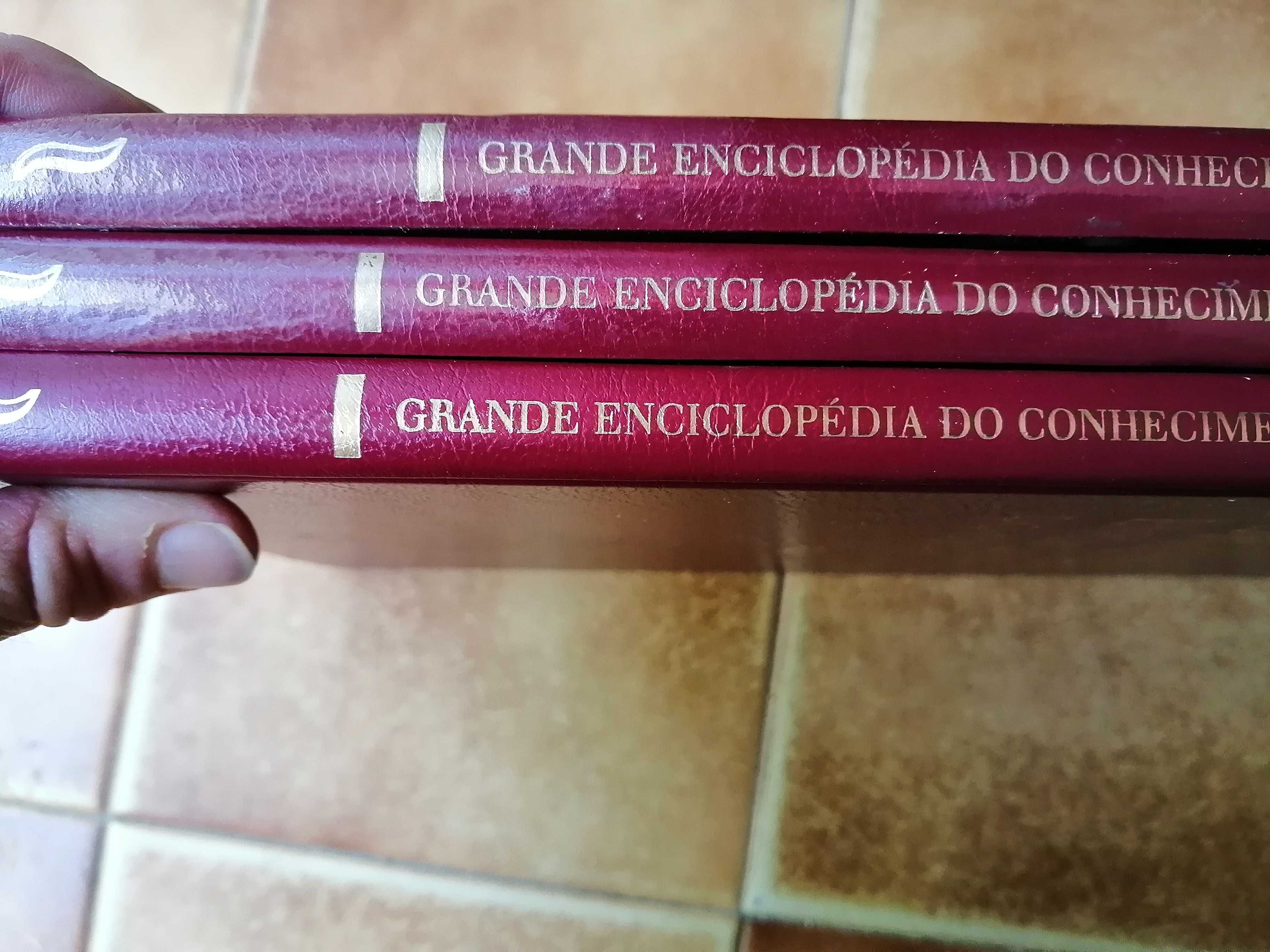 Livro enciclopédia do conhecimento