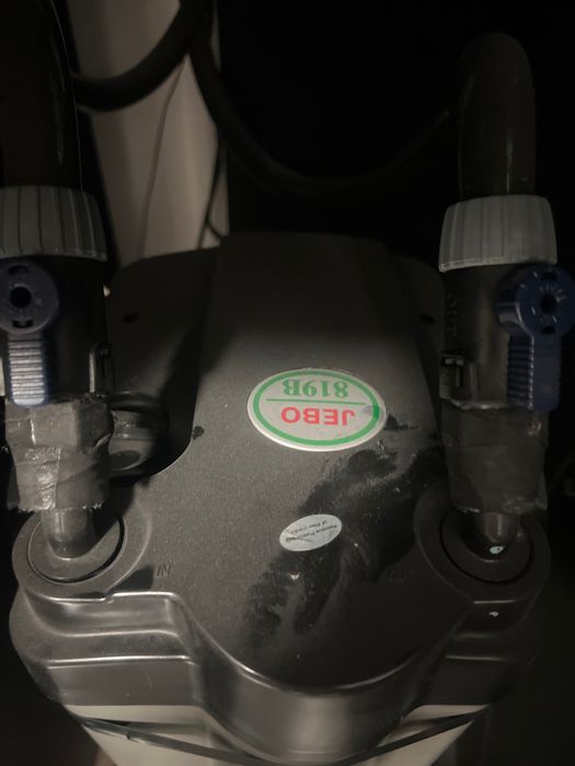 Aquário Rena de canto