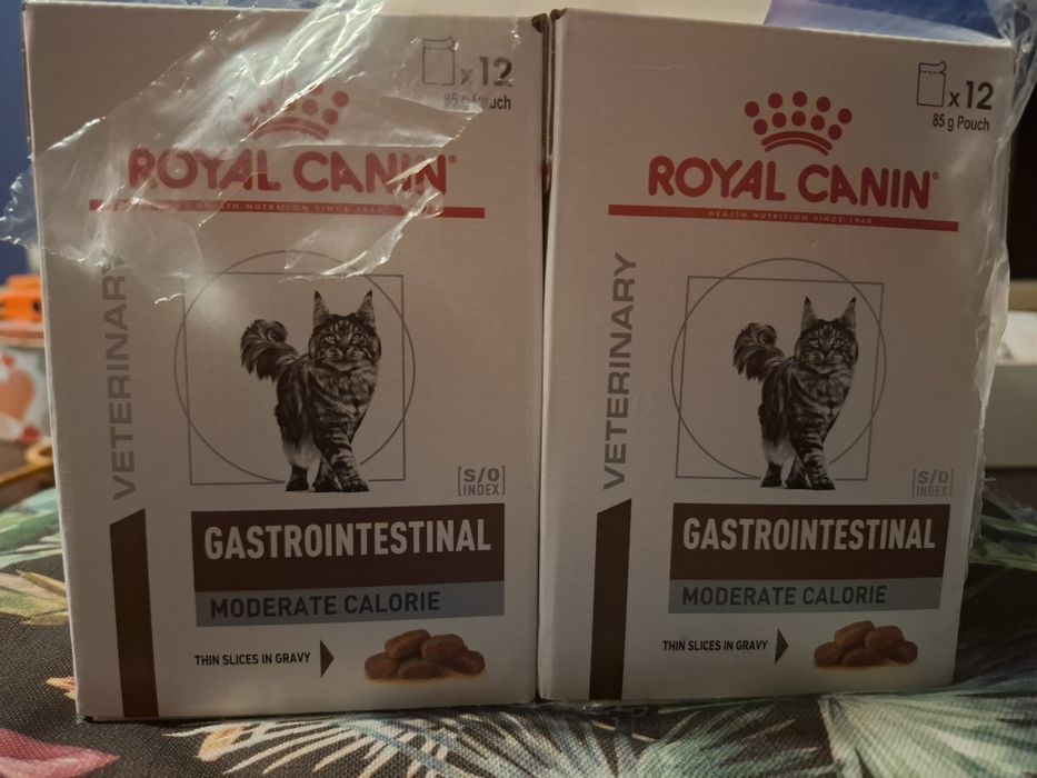 Karma mokra Royal Canin Gastrointestinal dla kota