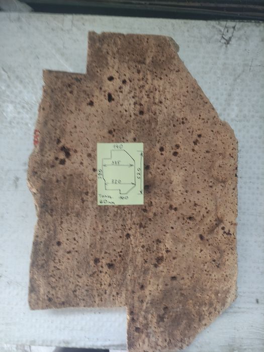 Пробковое дерево