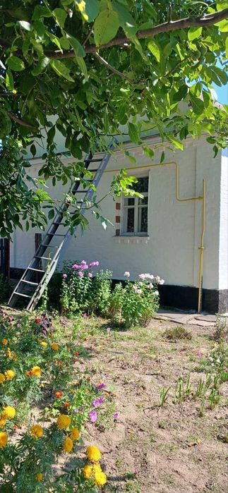 Будинок, Мироцьке