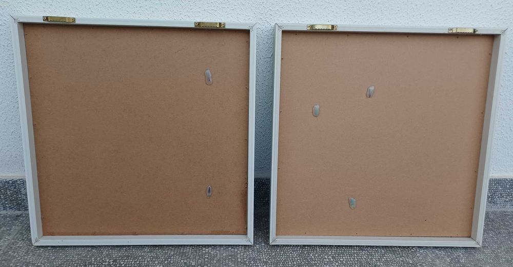 Conjunto de 2 quadros com catos