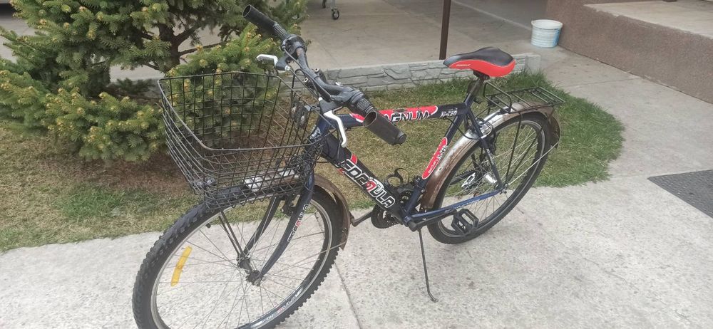 Велосипед formula magnum 26