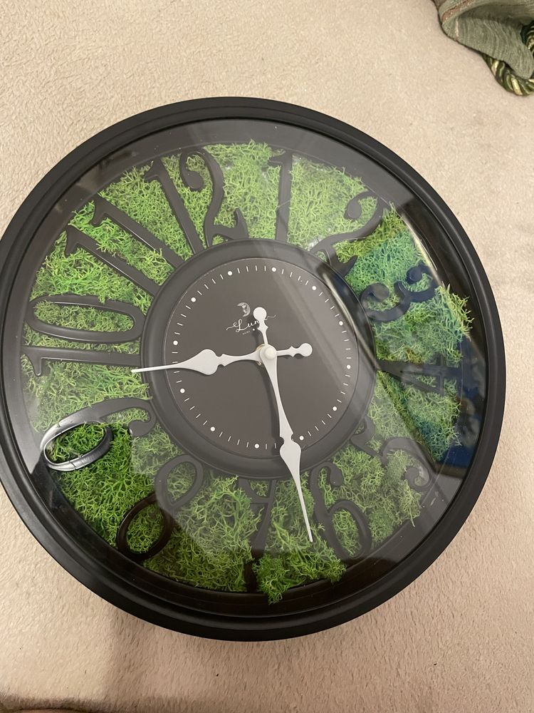 Годинник з стабілізованим мохом
