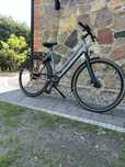 Rower Gazelle Urban Alfine 11 Pasek