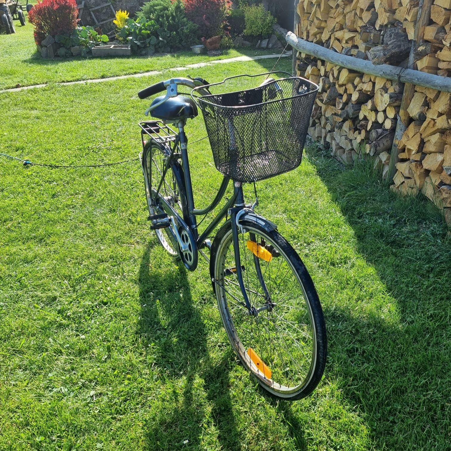 Rower Raleigh damka