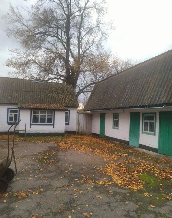 Продам будинок в селі Карпилівка