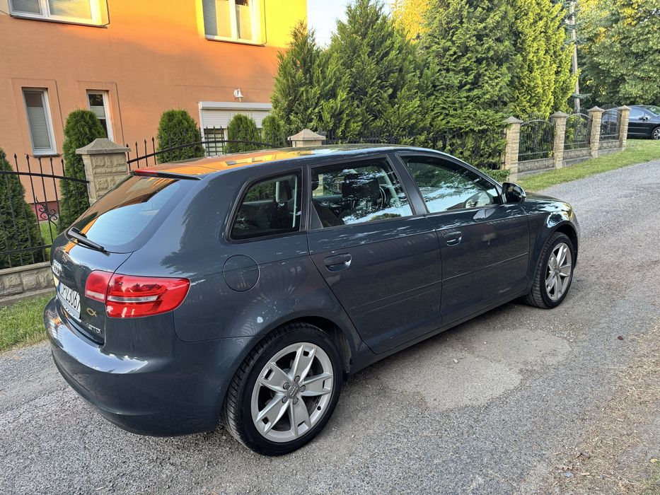 audi a3 8p 1.9 TDI lift