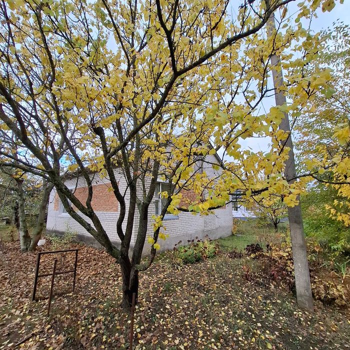 Будинок з великою територією