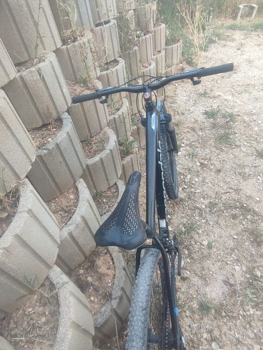Cannondale Trail 7