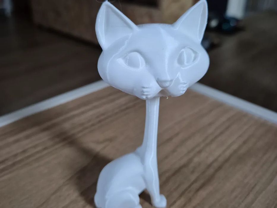 Gatinho de Cabeça Grande - Fofura Pura!