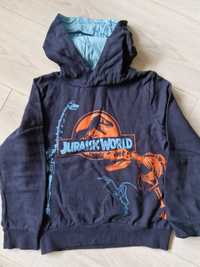 Bluza Jurrasic World