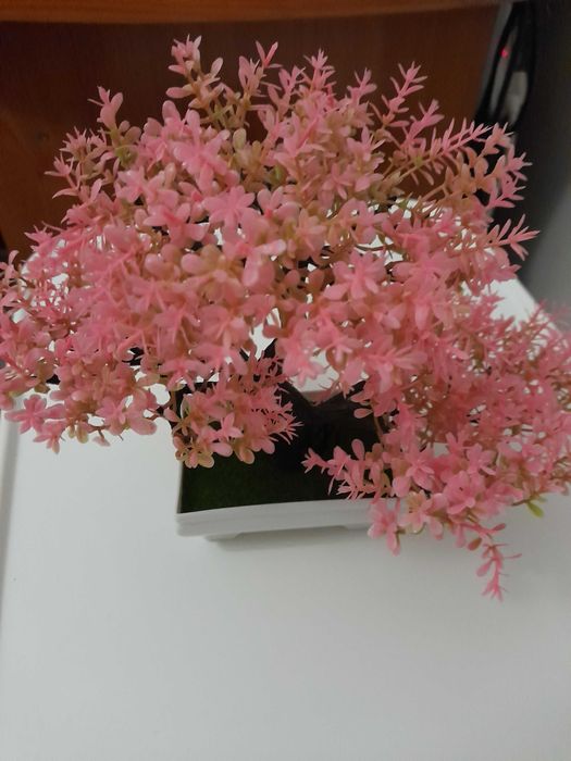 Decoração para qualquer lugar