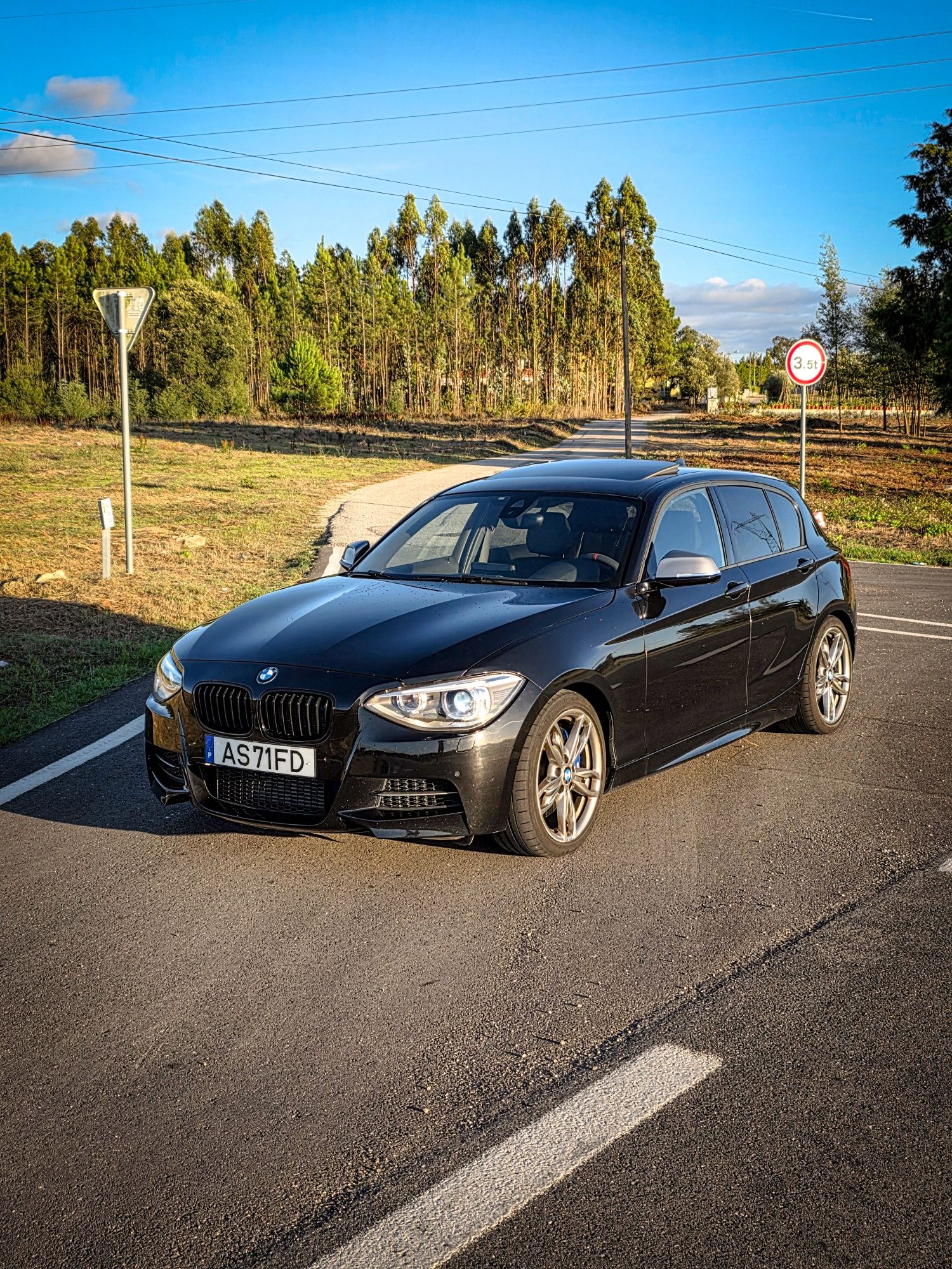Bmw M135i f20 Rwd