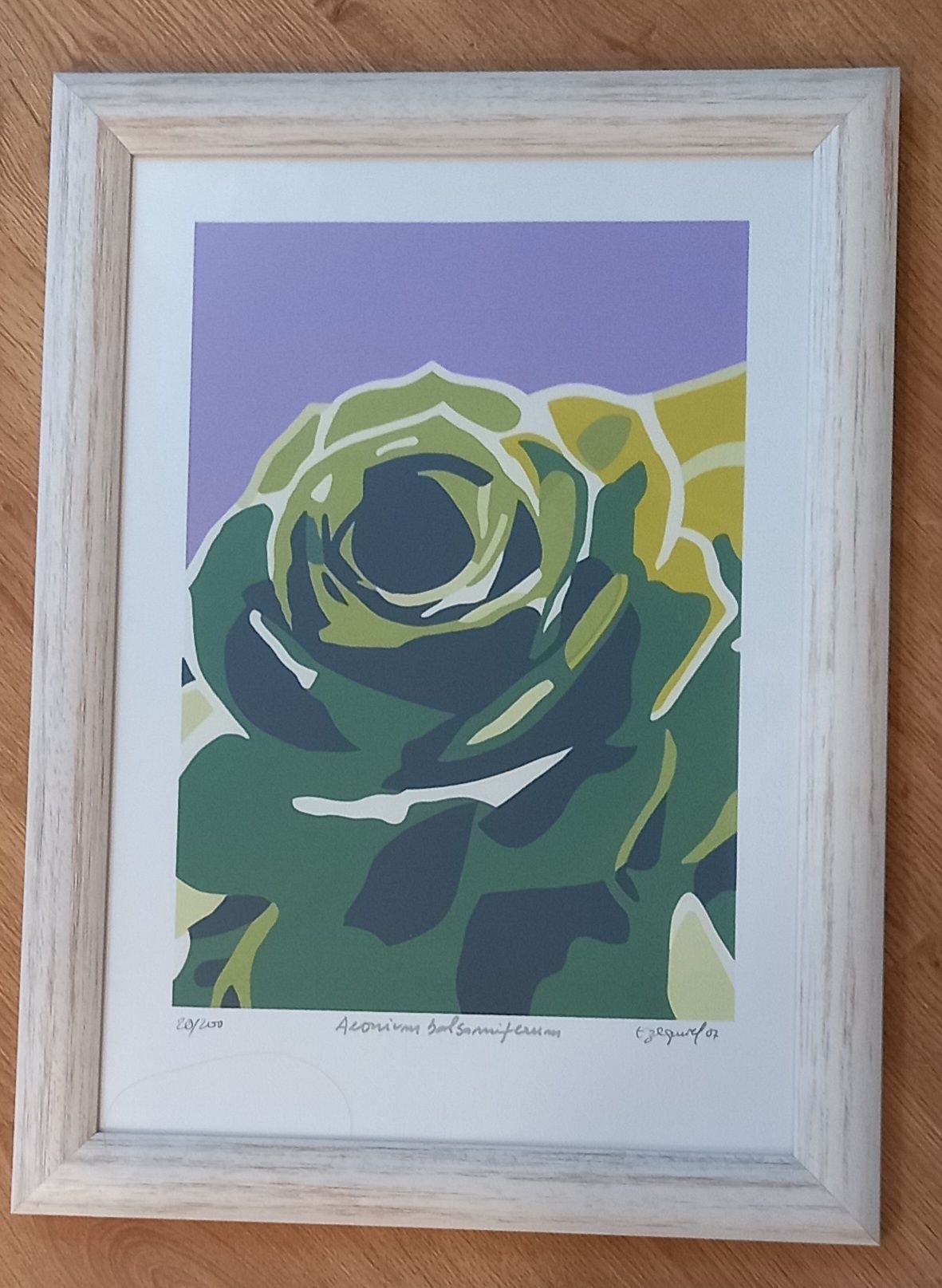 Conjunto de  quadros Serigrafias