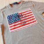 T-shirt cinza EUA