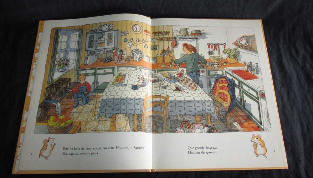 Livro Onde Está o Hamster? Terence Blacker Terramar