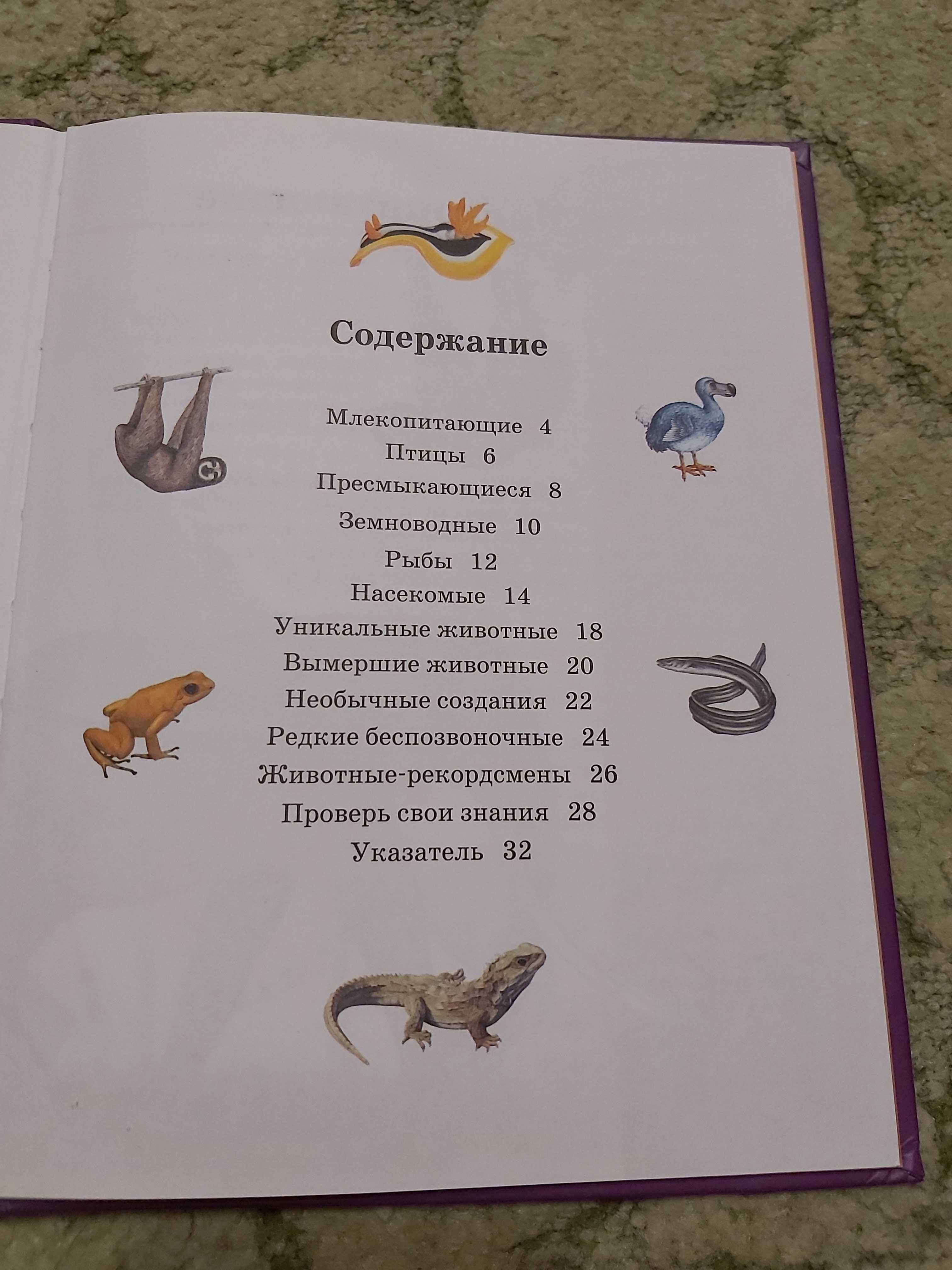 Книга миниэнциклопедия  "Животные"