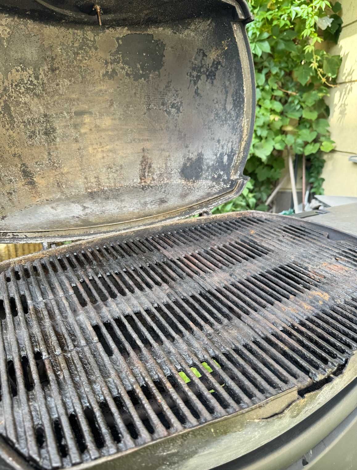 Grill gazowy Weber Q300