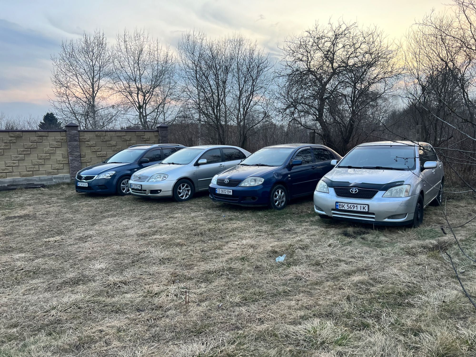 Оренда авто прокат машин rental cars