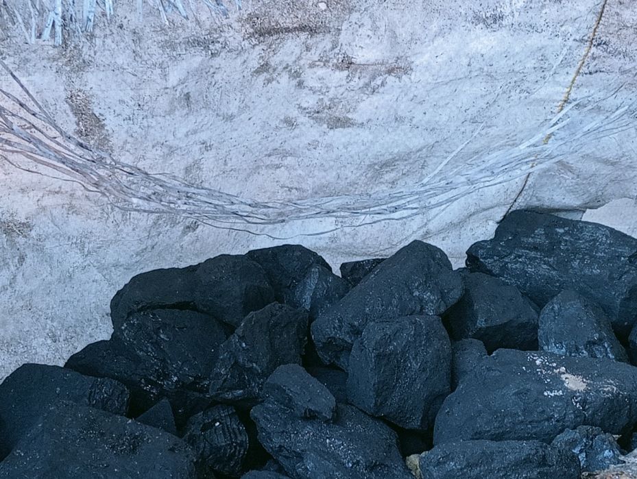 Węgiel gruby Polski