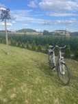 Ecobike Rower elektryczny