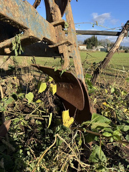 Charrua 2f14 ribatejo