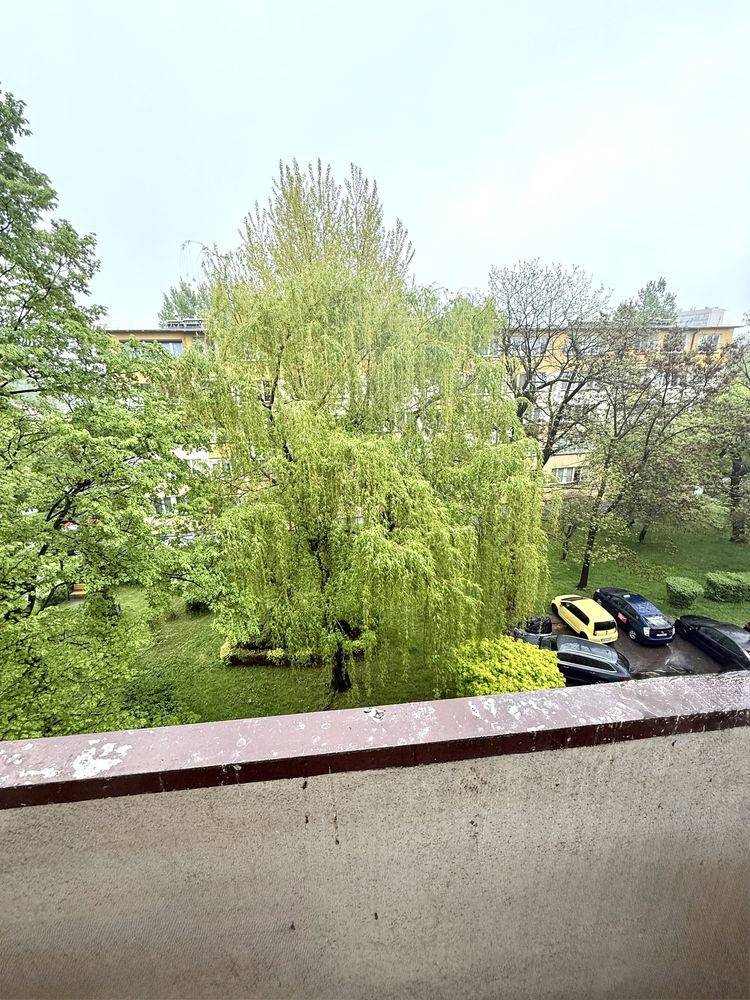 Na sprzedaż mieszkanie 3-pokojowe, 45,6 m²,Piastów Śląskich, 325 tys