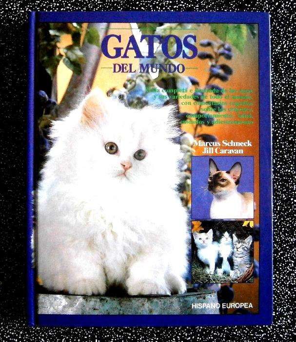 Gatos Del Mundo Raças