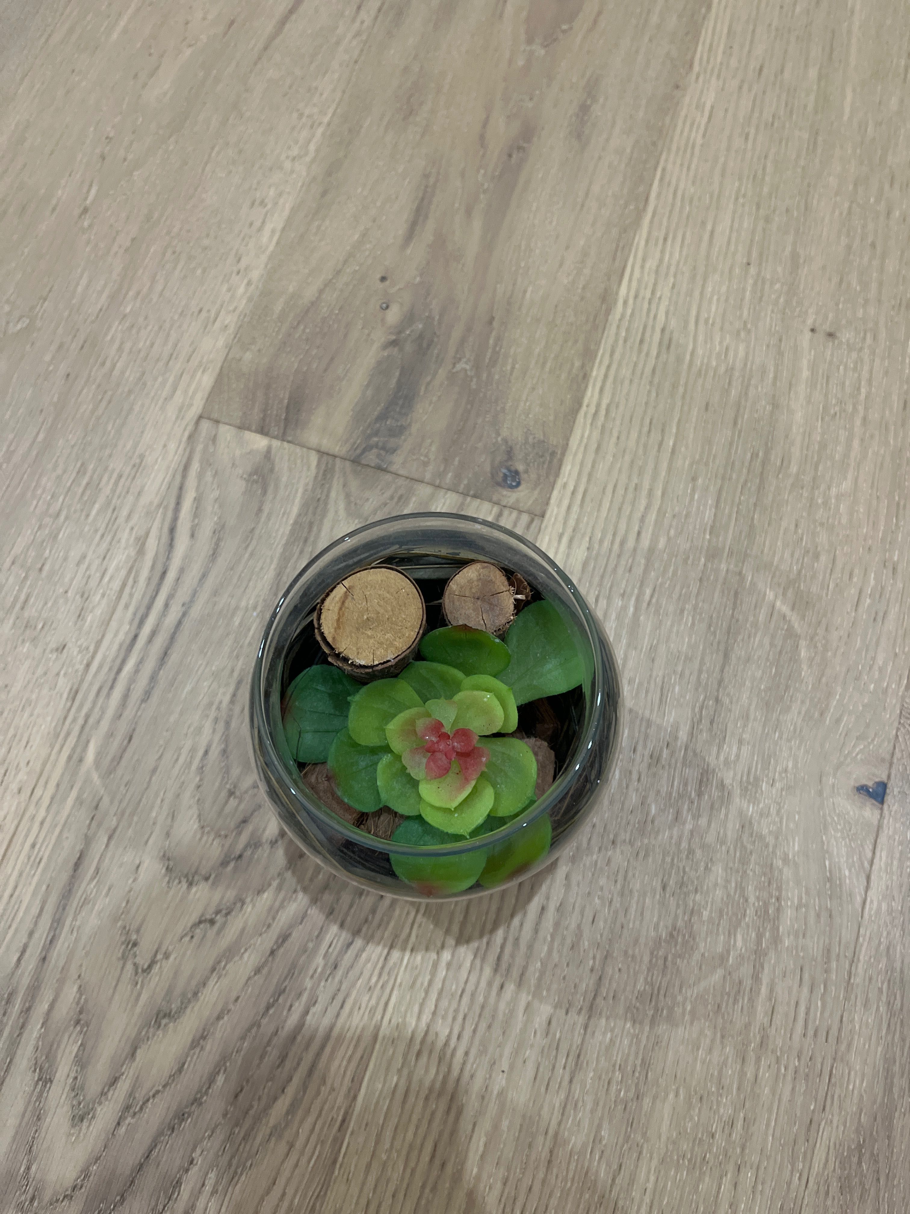 Decoração casa vaso