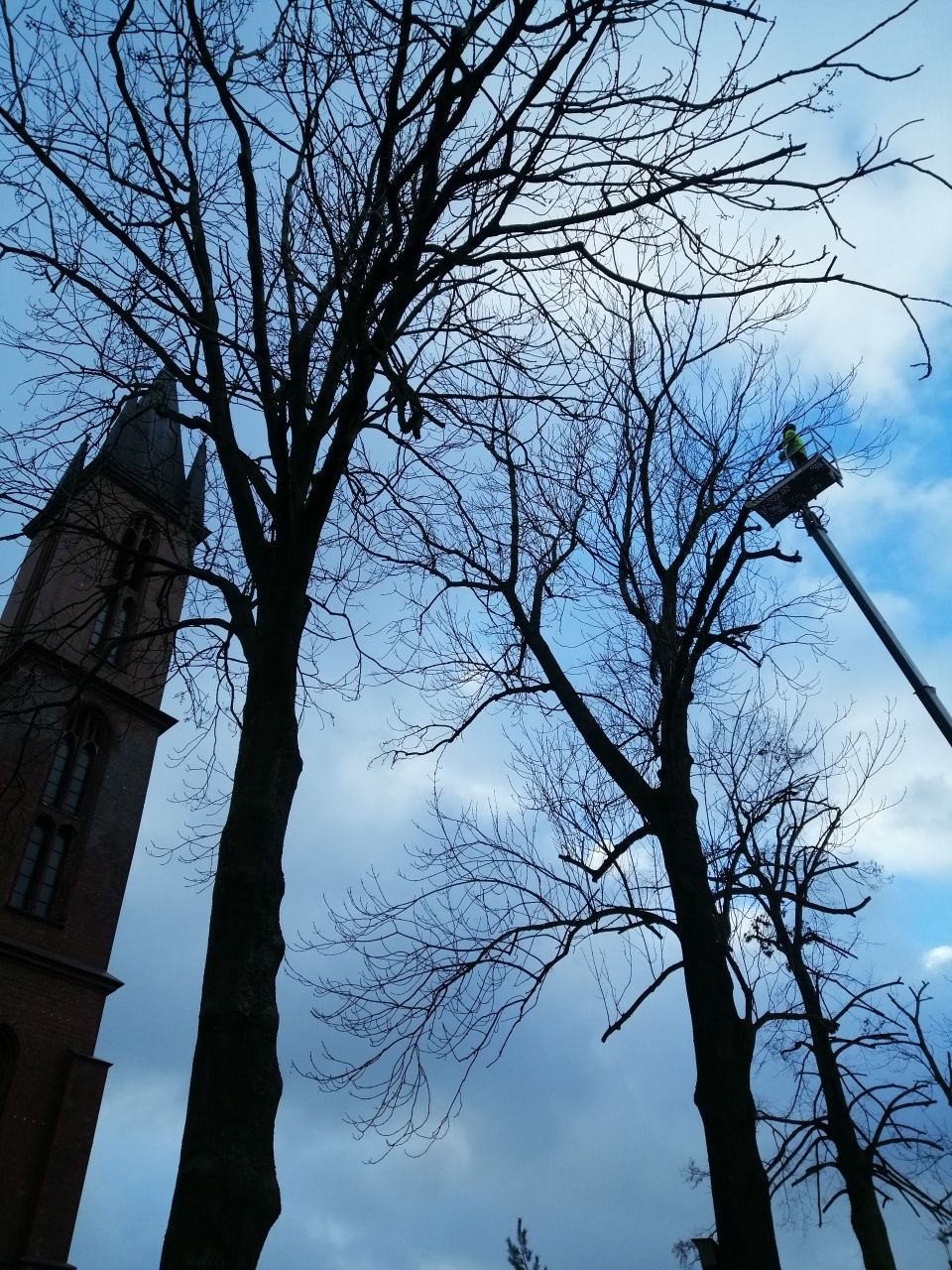 Wycinka podcinka drzew, usługi zwyżką, rębakiem - malowanie dachów