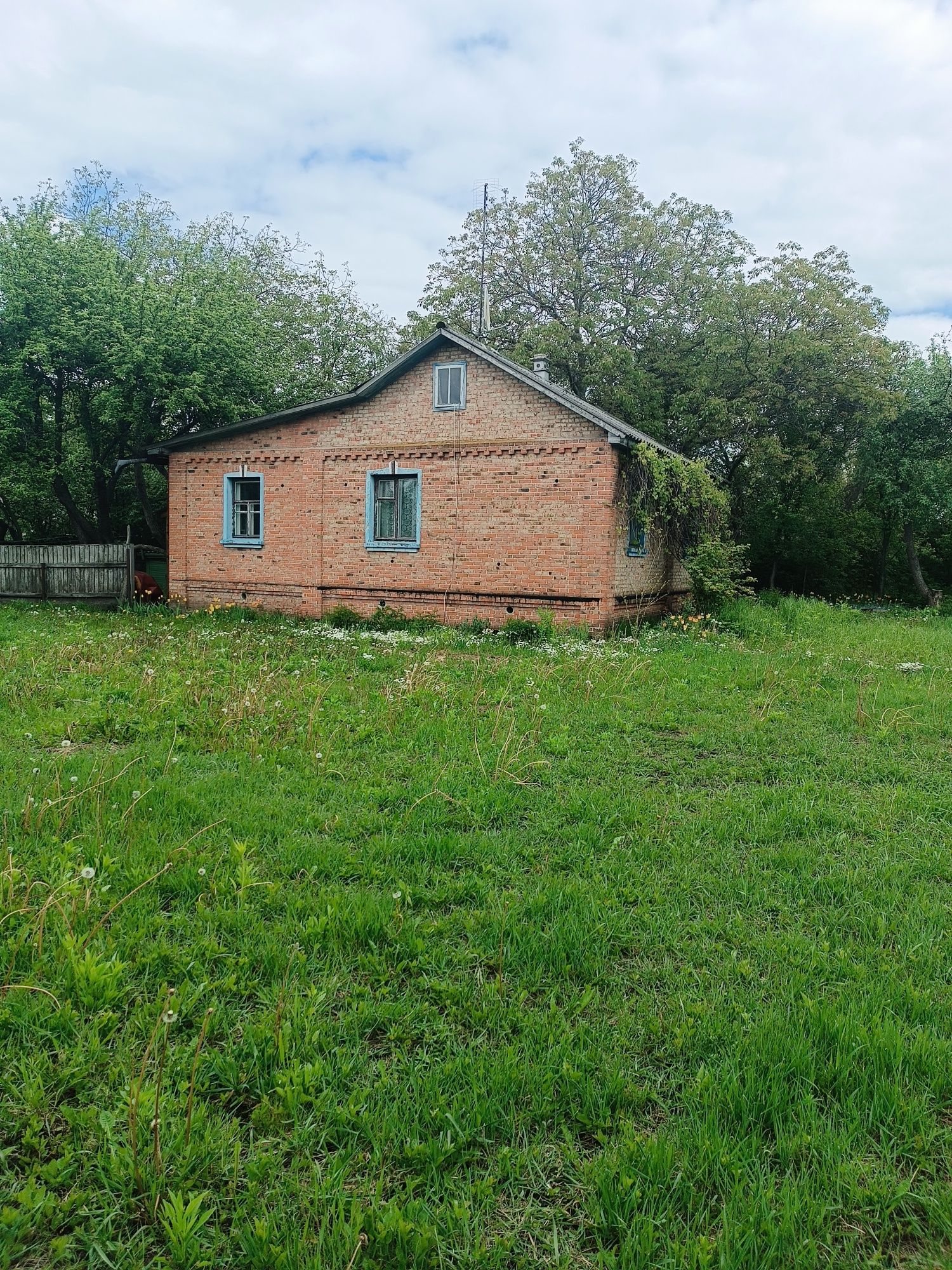 Великий будинок, Обласна лікарня, 15 сот землі