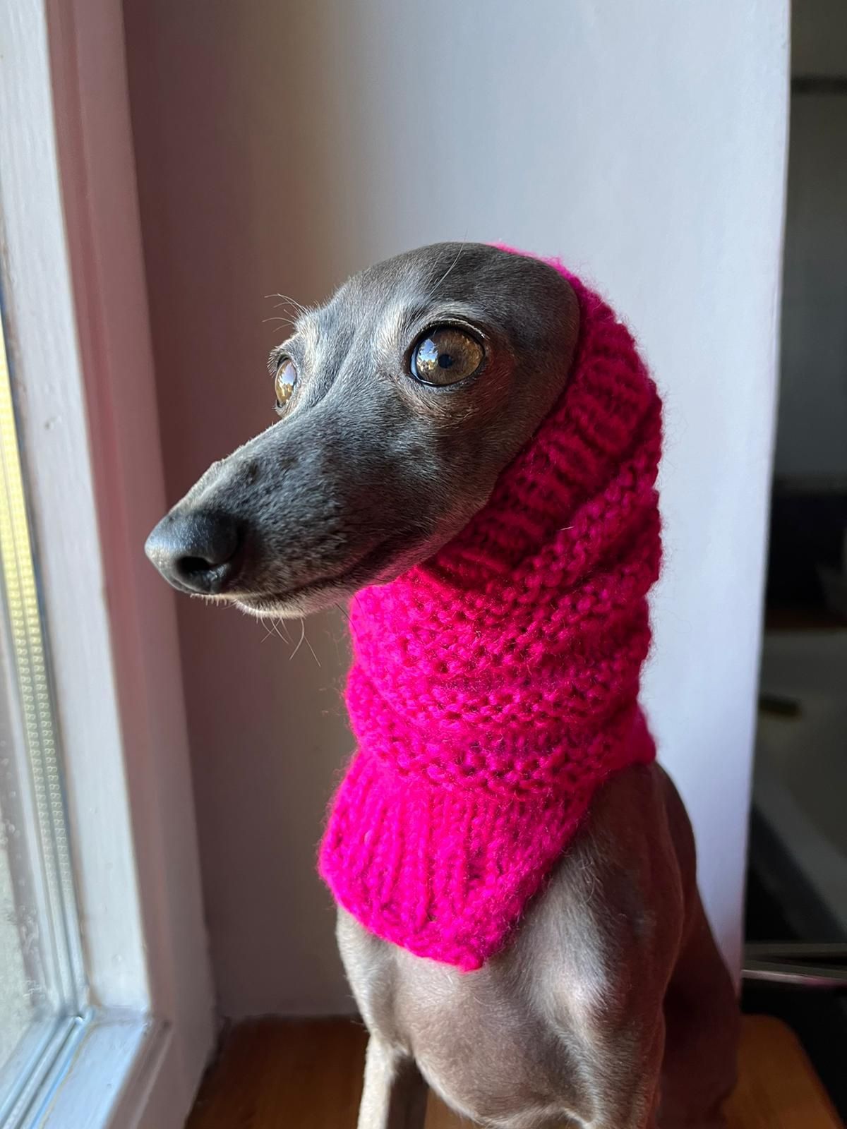 Różowy szalik ręcznie dziergany handmade charcik ratlerek chihuahua