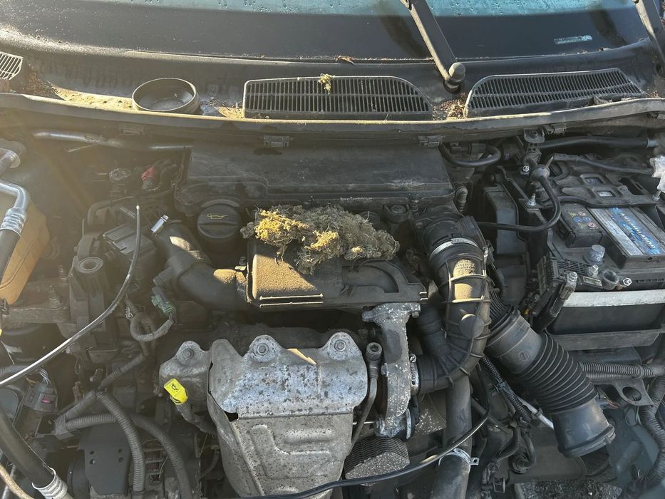 Ford Fiesta mk7 1,4TDCI 68KM wtryskiwacz wtrysk